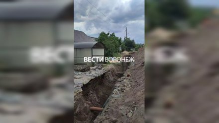 РВК попал под дело после двухнедельного отключения воды в частном секторе в Воронеже