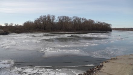 Воронежцев предупредили об опасности весеннего льда