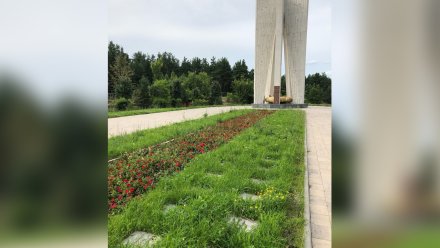 Воронежских активистов вновь возмутило состояние братской могилы в «‎Песчаном логу»