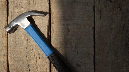 Воронежский омбудсмен прокомментировала нападение вооружённого подростка на детей
