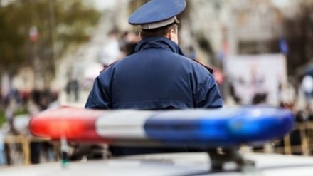 В Воронежской области водителя без прав наказали за мелкую взятку для инспектора ГИБДД