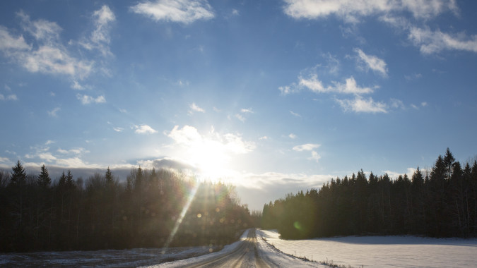 В Воронежской области 2025 год стал одним из самых тёплых в истории