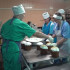 Воронежские волонтёры и пекари доставят в зону СВО пасхальные куличи