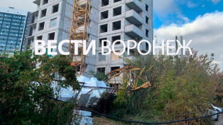 Строительный кран обрушился на площадке ДСК в Воронеже