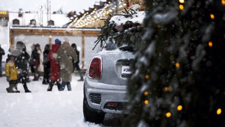 Новогодние каникулы в Воронеже будут снежными и аномально холодными