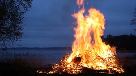 Жителей Воронежской области предупредили о риске возникновения пожаров в августе