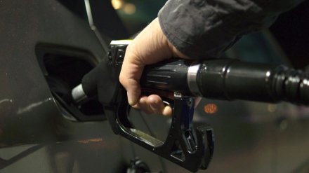 В Воронежской области вновь выросли цены на бензин