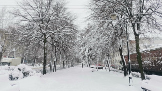 Снегопад в Воронежской области продлится более 20 часов