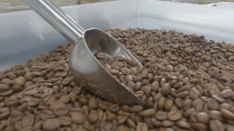 Зерно – вьетнамское, обжарка – новоусманская. Под Воронежем начали производить кофе