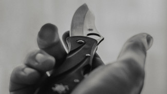 В воронежской школе мальчик вонзил нож в голову одноклассника