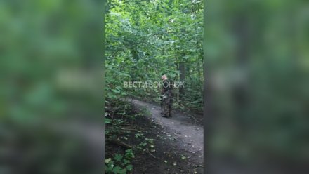 Полиция начала проверку после жалоб воронежцев на агрессивную собаку в Центральном парке