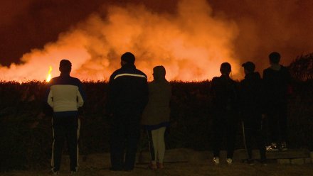 Спасатели отбили от огня четыре села в Воронежской области