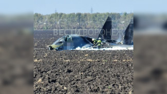 Появились фото с места крушения истребителя Су-34 в Воронежской области