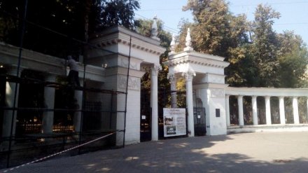 В мэрии Воронежа рассказали о судьбе демонтированной лепнины со входной группы «Орлёнка»