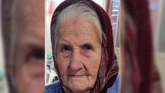 Под Воронежем начали поиски пропавшей без вести 85-летней женщины