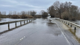 Затопленный Ступинский мост под Воронежем показали на фото