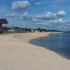 Турбазу «Сосновый бор» в Воронеже снова выставили на продажу