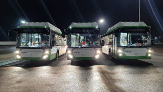 Жителей воронежского микрорайона обеспечат низкопольными автобусами