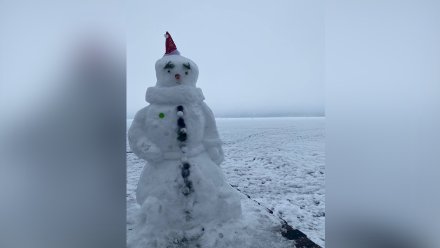 В Воронеже появились первые причудливые снеговики