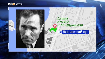 В Воронеже появится памятный знак в честь Василия Шукшина