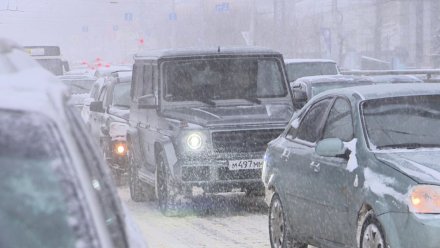 В Воронеже назвали самые аварийные улицы