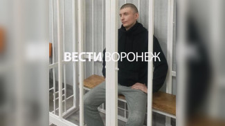 В Воронеже мажора Гусева приговорили к 9 годам колонии за смертельное ДТП