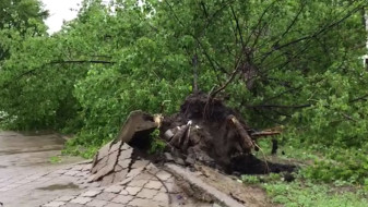 В Воронежской области вернули отключившийся при урагане свет