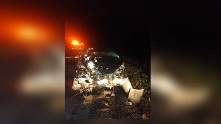 В Воронежской области водитель врезался в дерево и погиб