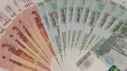 Средняя зарплата воронежцев в мае выросла до 52,7 тыс. рублей 