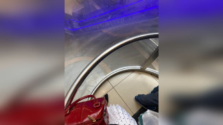 В Воронеже назвали причину получасовой остановки лифта в «Центре Галереи Чижова»