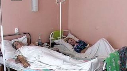 В Воронежском регионе уже отравились грибами 40 человек