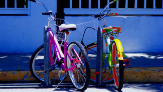 Житель воронежского райцентра отправится в исправительную колонию за кражу велосипеда