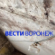 Капремонт дома под Воронежем перенесли с 2046 года на 2026-й из-за сорванной штормом крыши