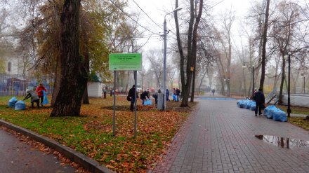Старинное кладбище у цирка в Воронеже защитили от застройки