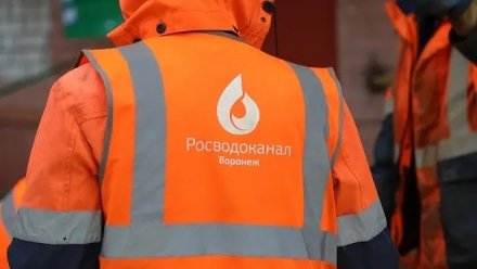 Жителей девяти воронежских улиц оставят без воды