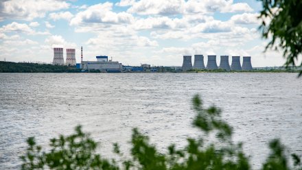 Эксперты: система экологического менеджмента Нововоронежской АЭС соответствует стандартам