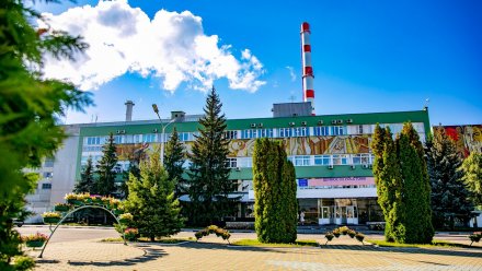 Энергоблок №4 Нововоронежской АЭС отключили для ремонта