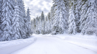 В Воронежской области резко похолодает в начале января