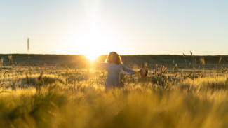 Воронежские синоптики продлили действие жёлтого уровня опасности из-за жары до +35