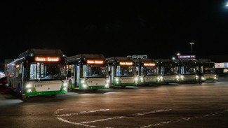 В Воронеж прибыли ещё 30 современных низкопольных автобусов