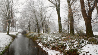Прогноз погоды в Воронеже на 19.11.2025