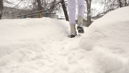 Четыре улицы в центре Воронежа перекроют для уборки снега