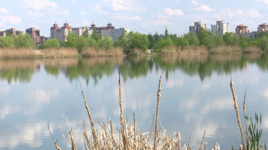 После находки в Воронежском водохранилище отрезанных ног возбудили дело об убийстве