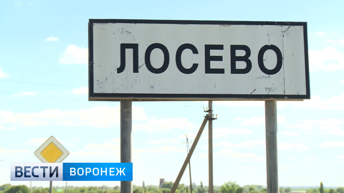 Погода на неделю лосево воронежская