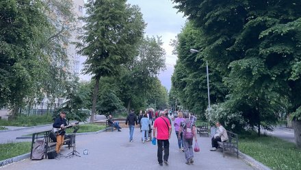 Мэр Воронежа призвал ускорить подготовку к обновлению улицы Карла Маркса