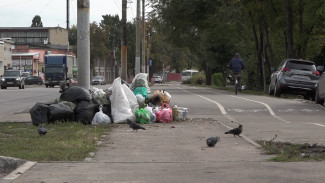 Воронежское Шилово завалили мусором после появления велодорожки