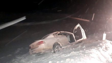 Все пострадавшие в аварии с пятью машинами на трассе под Воронежем покинули больницу