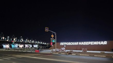 В Воронеже на Петровской набережной включили подсветку у Чернавского моста  