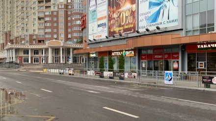 Популярные пешеходные переходы сохранят после жалоб воронежцев