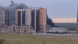 Воронежцы сняли на видео сильный пожар вблизи домов в Шилово